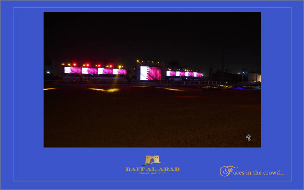 Lisa Abraham: 2017 Kuwait International Arabian Horse Festival~All Nations Cup Straight Egyptians 