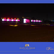 Lisa Abraham: 2017 Kuwait International Arabian Horse Festival~All Nations Cup Straight Egyptians 