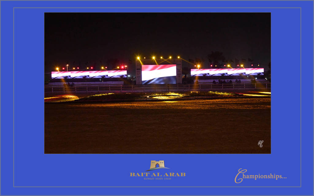 Lisa Abraham: 2017 Kuwait International Arabian Horse Festival~All Nations Cup Straight Egyptians 