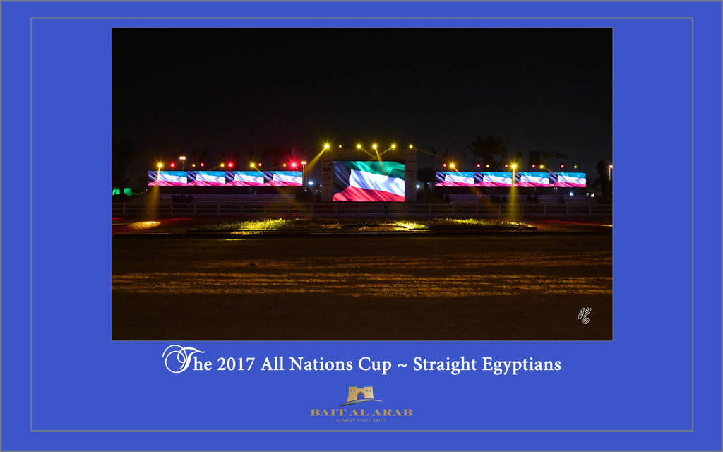 Lisa Abraham: 2017 Kuwait International Arabian Horse Festival~All Nations Cup Straight Egyptians 