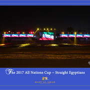 Lisa Abraham: 2017 Kuwait International Arabian Horse Festival~All Nations Cup Straight Egyptians 