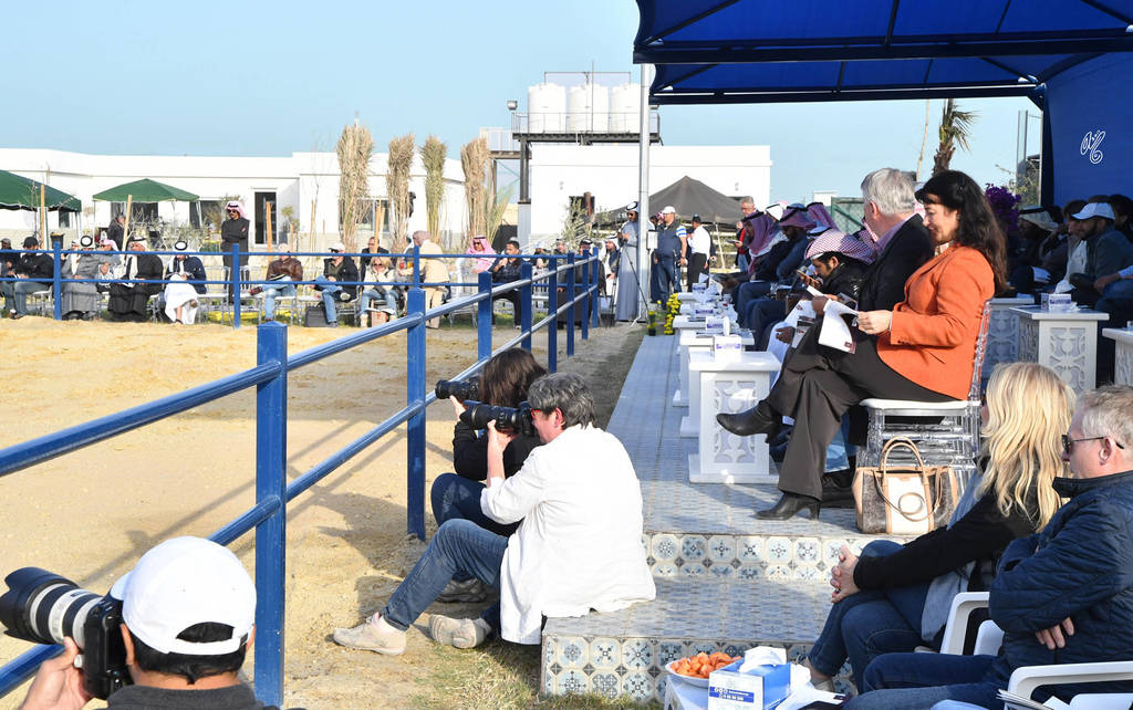 Lisa Abraham: 2017 Kuwait International Arabian Horse Festival~All Nations Cup Straight Egyptians 