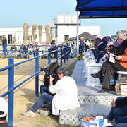 Lisa Abraham: 2017 Kuwait International Arabian Horse Festival~All Nations Cup Straight Egyptians 