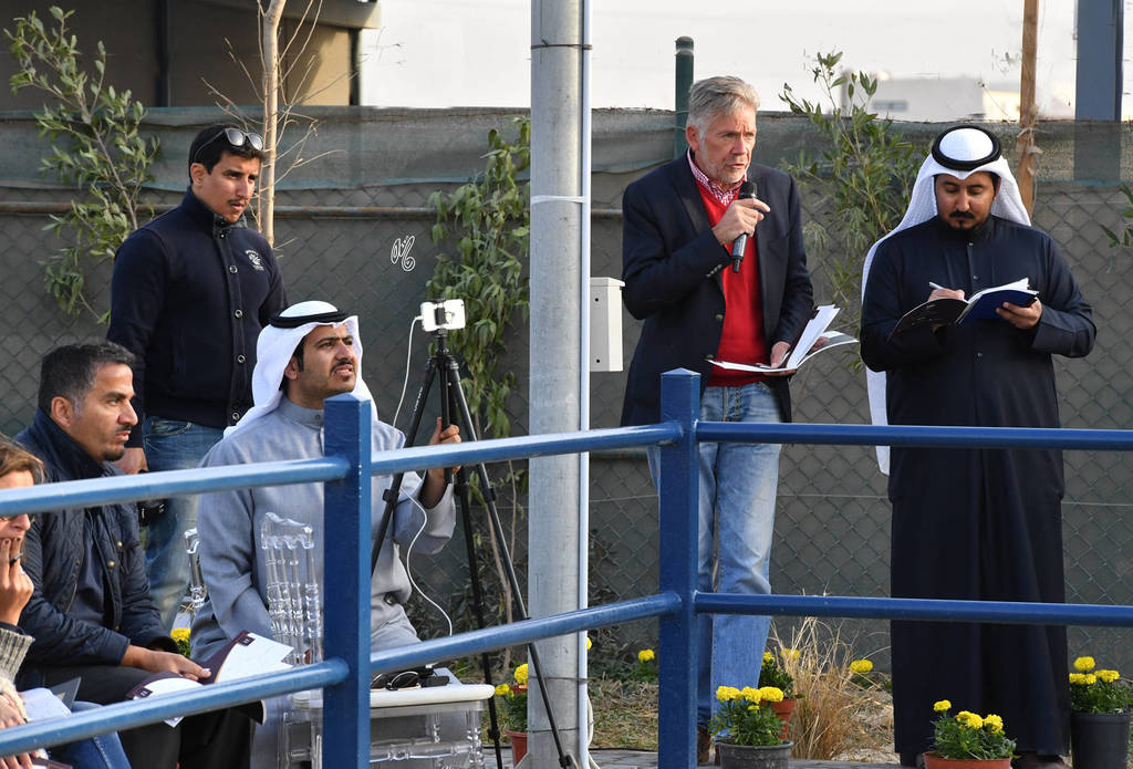 Lisa Abraham: 2017 Kuwait International Arabian Horse Festival~All Nations Cup Straight Egyptians 