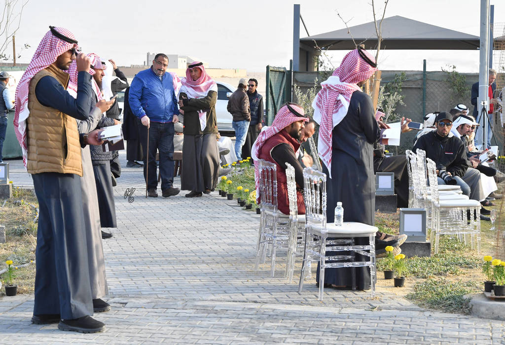 Lisa Abraham: 2017 Kuwait International Arabian Horse Festival~All Nations Cup Straight Egyptians 