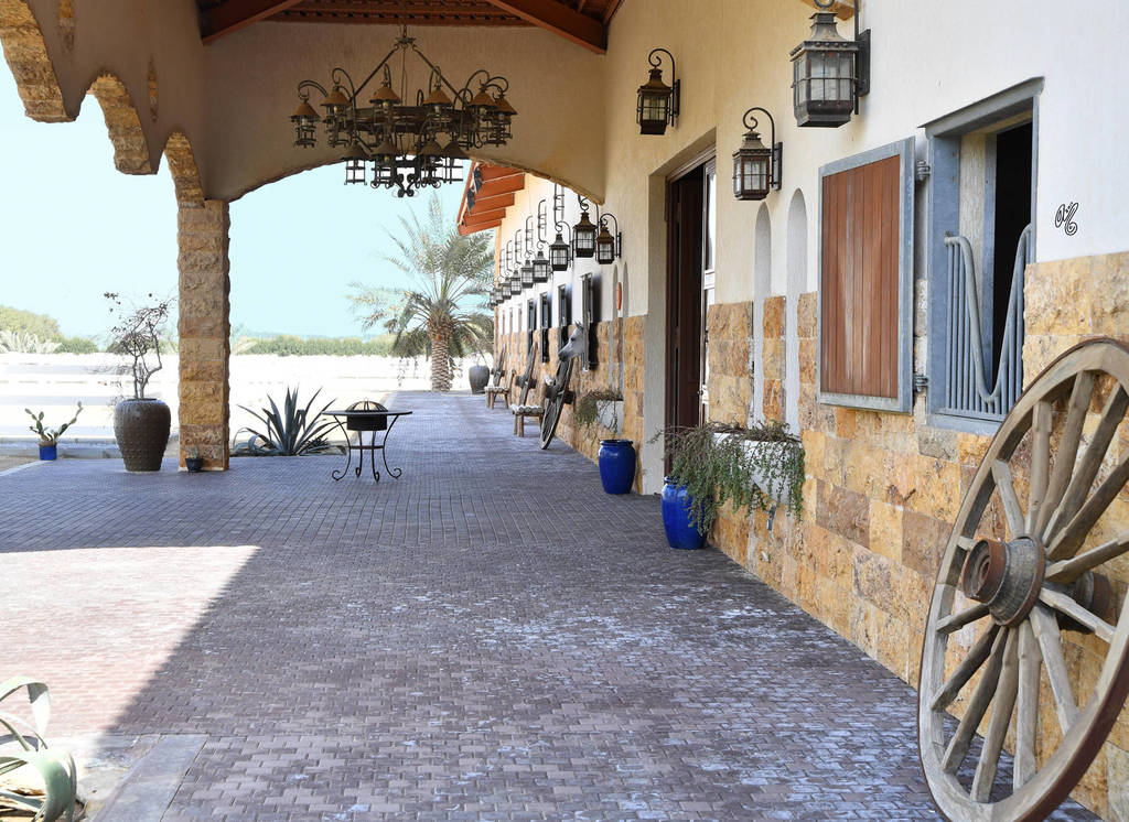 Lisa Abraham: 2017 Kuwait International Arabian Horse Festival~All Nations Cup Straight Egyptians 