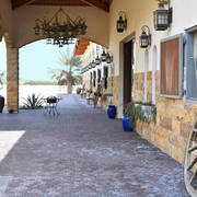 Lisa Abraham: 2017 Kuwait International Arabian Horse Festival~All Nations Cup Straight Egyptians 