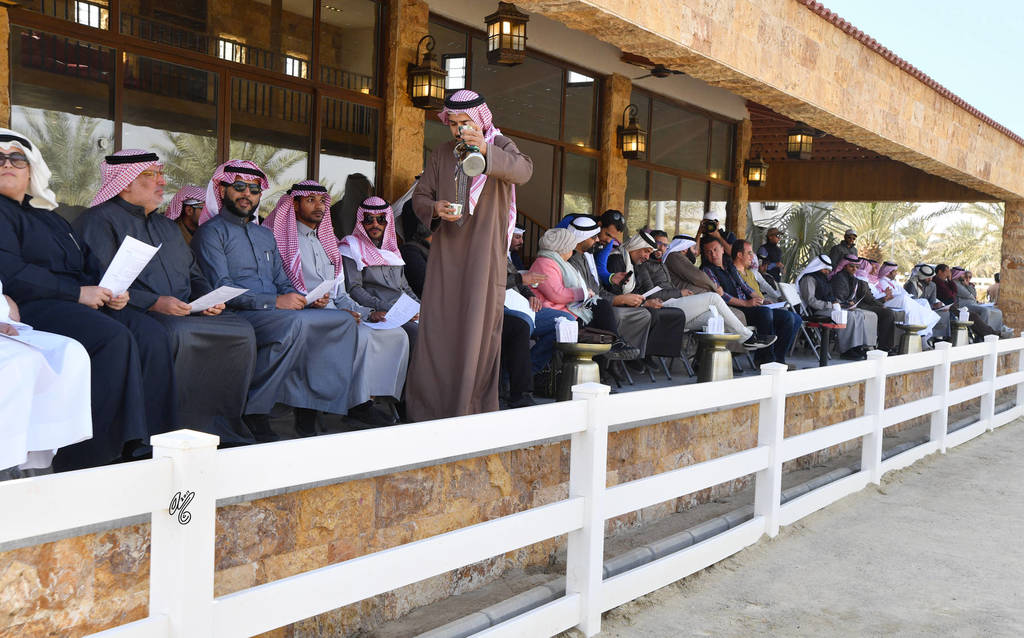 Lisa Abraham: 2017 Kuwait International Arabian Horse Festival~All Nations Cup Straight Egyptians 