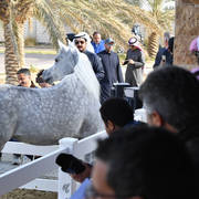 Lisa Abraham: 2017 Kuwait International Arabian Horse Festival~All Nations Cup Straight Egyptians 