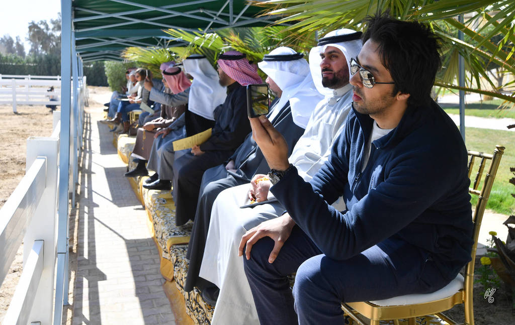 Lisa Abraham: 2017 Kuwait International Arabian Horse Festival~All Nations Cup Straight Egyptians 