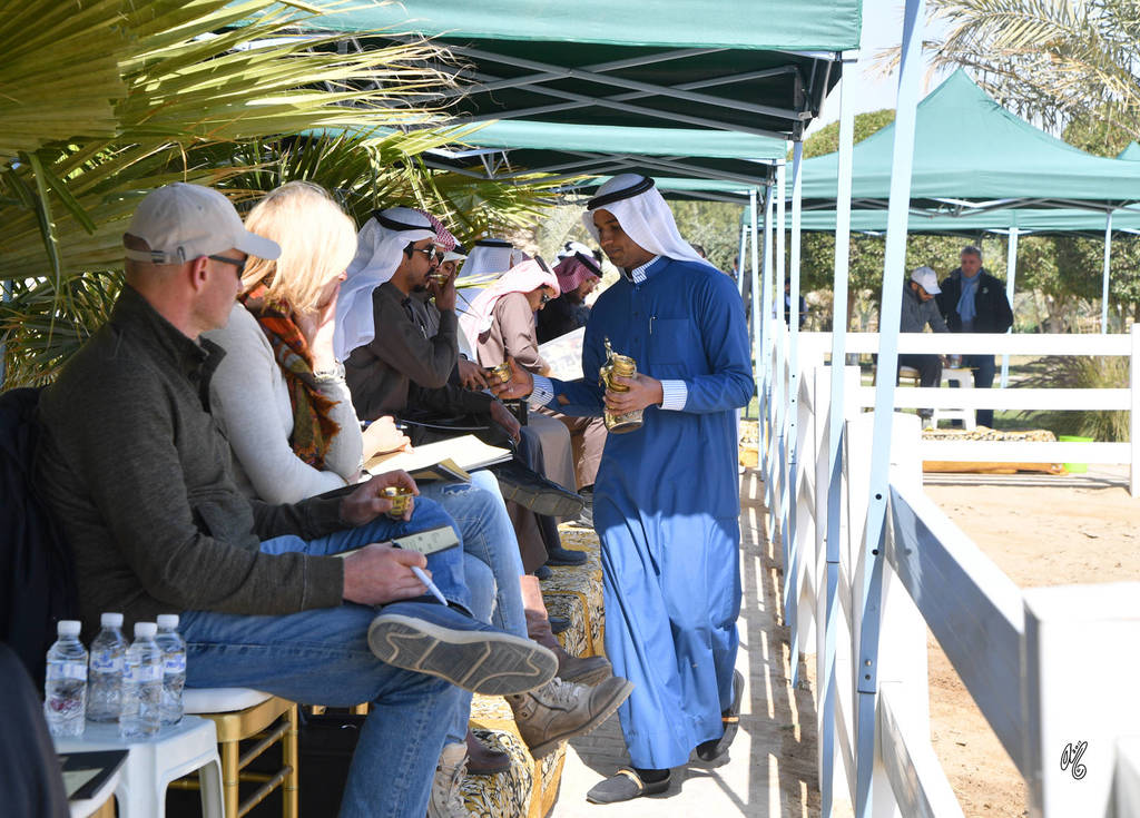 Lisa Abraham: 2017 Kuwait International Arabian Horse Festival~All Nations Cup Straight Egyptians 