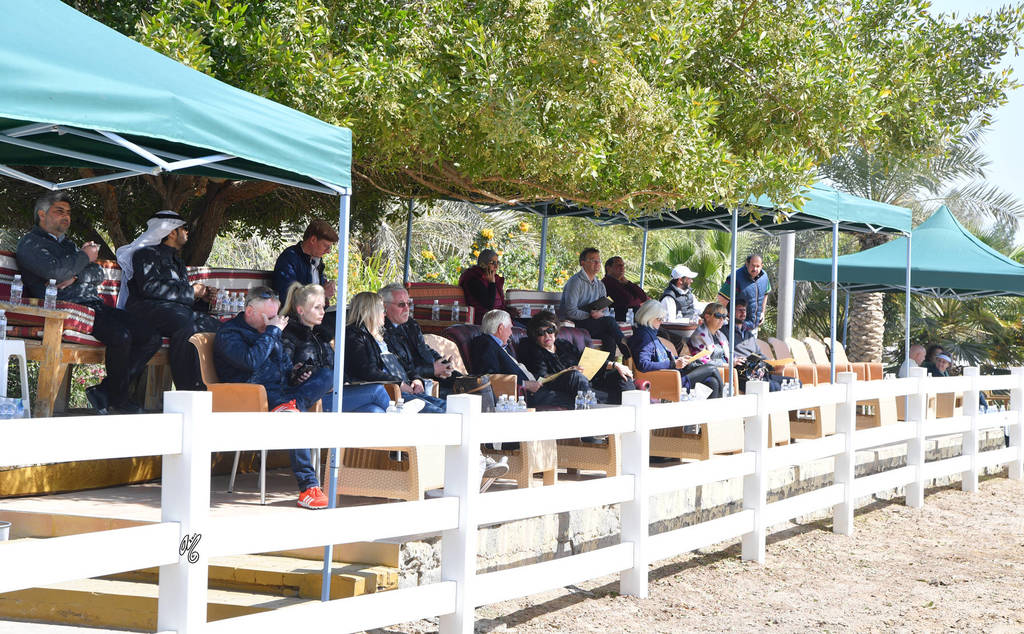 Lisa Abraham: 2017 Kuwait International Arabian Horse Festival~All Nations Cup Straight Egyptians 