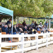 Lisa Abraham: 2017 Kuwait International Arabian Horse Festival~All Nations Cup Straight Egyptians 