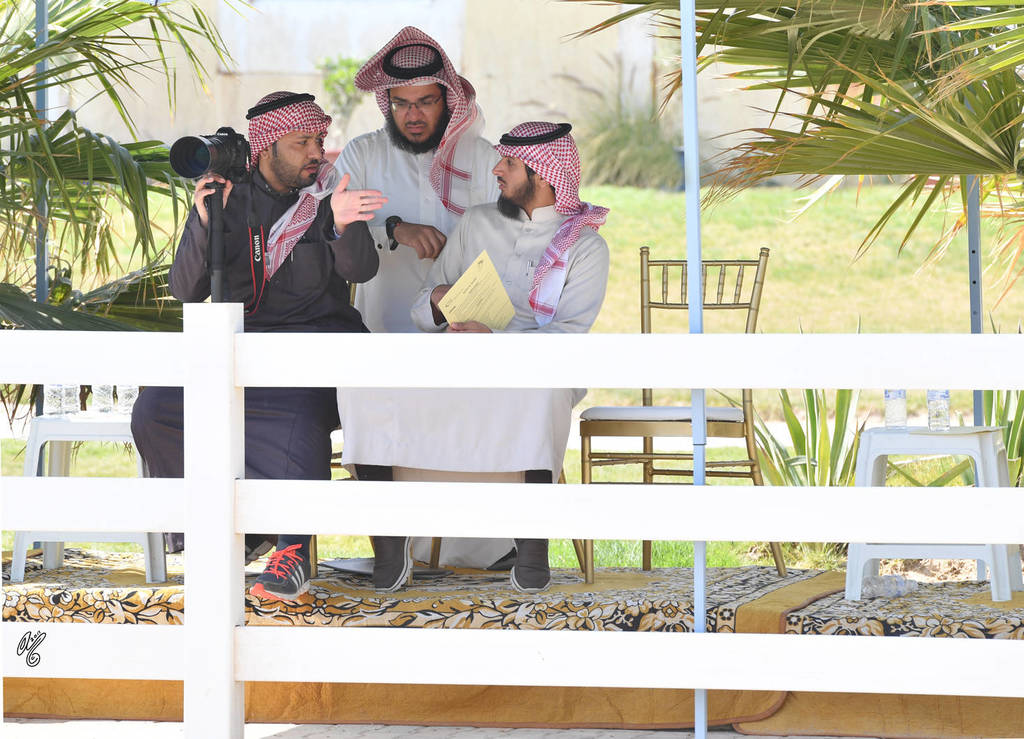 Lisa Abraham: 2017 Kuwait International Arabian Horse Festival~All Nations Cup Straight Egyptians 