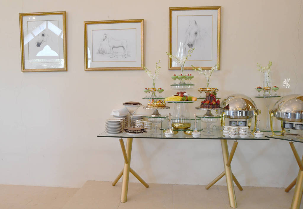 Lisa Abraham: 2017 Kuwait International Arabian Horse Festival~All Nations Cup Straight Egyptians 