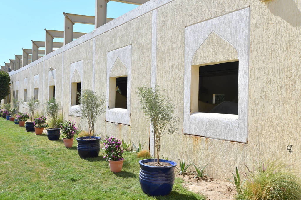 Lisa Abraham: 2017 Kuwait International Arabian Horse Festival~All Nations Cup Straight Egyptians 