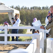 Lisa Abraham: 2017 Kuwait International Arabian Horse Festival~All Nations Cup Straight Egyptians 