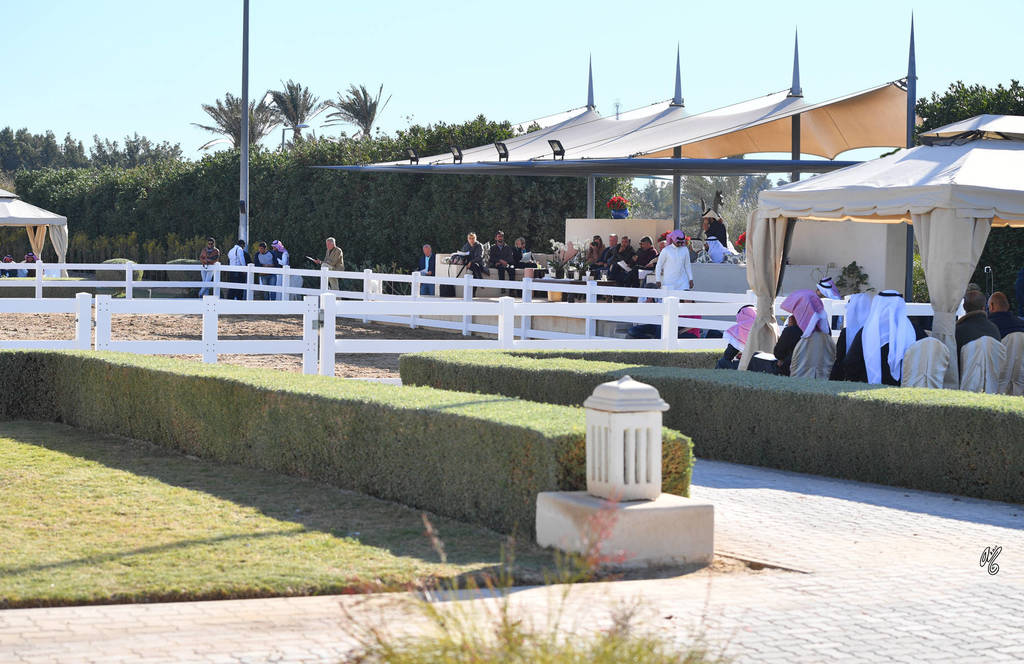 Lisa Abraham: 2017 Kuwait International Arabian Horse Festival~All Nations Cup Straight Egyptians 