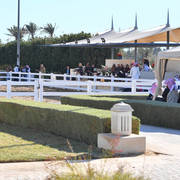 Lisa Abraham: 2017 Kuwait International Arabian Horse Festival~All Nations Cup Straight Egyptians 