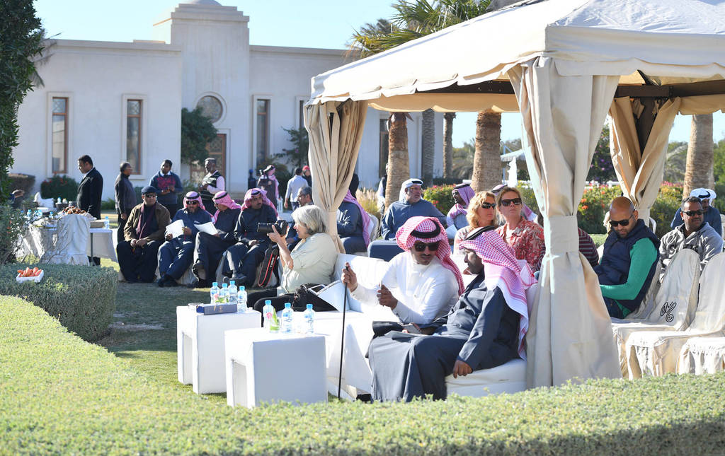 Lisa Abraham: 2017 Kuwait International Arabian Horse Festival~All Nations Cup Straight Egyptians 