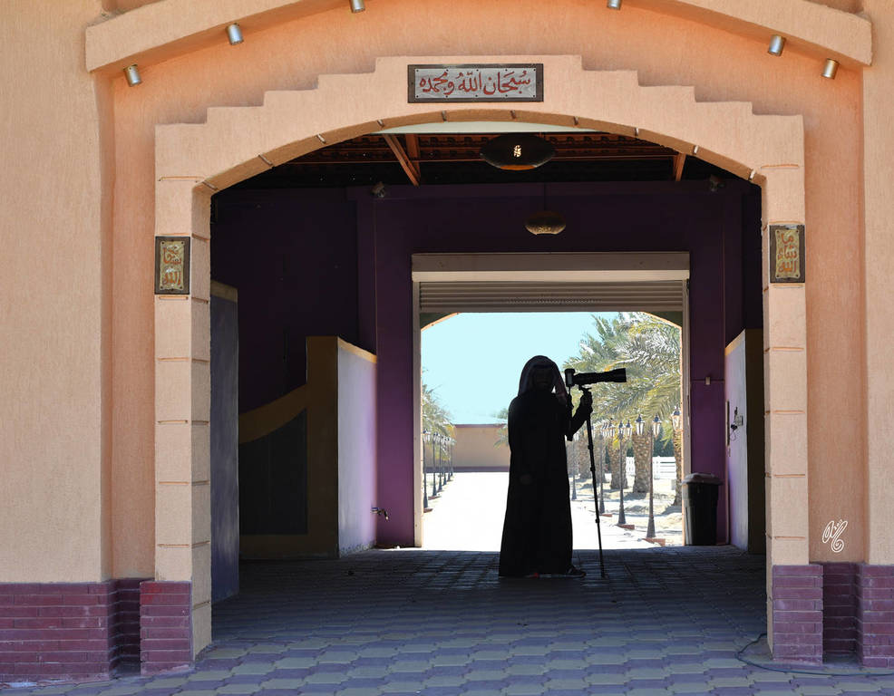 Lisa Abraham: 2017 Kuwait International Arabian Horse Festival~All Nations Cup Straight Egyptians 