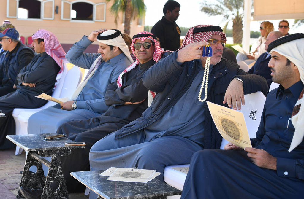 Lisa Abraham: 2017 Kuwait International Arabian Horse Festival~All Nations Cup Straight Egyptians 