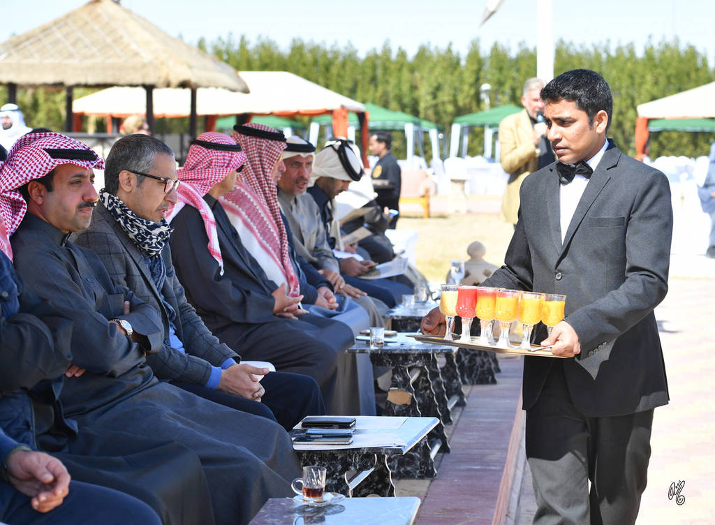 Lisa Abraham: 2017 Kuwait International Arabian Horse Festival~All Nations Cup Straight Egyptians 