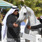Lisa Abraham: 2017 Kuwait International Arabian Horse Festival~All Nations Cup Straight Egyptians 