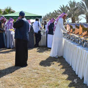 Lisa Abraham: 2017 Kuwait International Arabian Horse Festival~All Nations Cup Straight Egyptians 