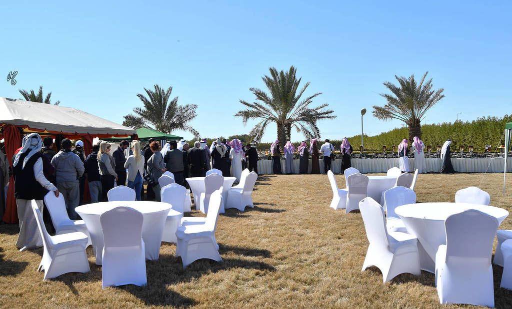 Lisa Abraham: 2017 Kuwait International Arabian Horse Festival~All Nations Cup Straight Egyptians 