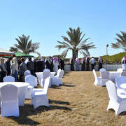 Lisa Abraham: 2017 Kuwait International Arabian Horse Festival~All Nations Cup Straight Egyptians 