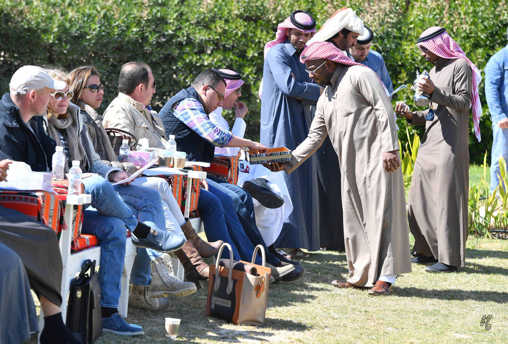 Lisa Abraham: 2017 Kuwait International Arabian Horse Festival~All Nations Cup Straight Egyptians 