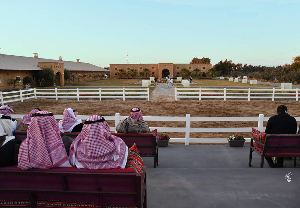 Lisa Abraham: 2017 Kuwait International Arabian Horse Festival~All Nations Cup Straight Egyptians 