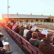 Lisa Abraham: 2017 Kuwait International Arabian Horse Festival~All Nations Cup Straight Egyptians 