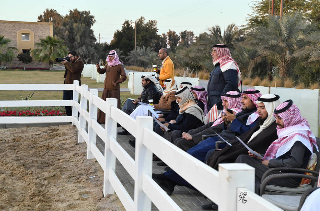 Lisa Abraham: 2017 Kuwait International Arabian Horse Festival~All Nations Cup Straight Egyptians 