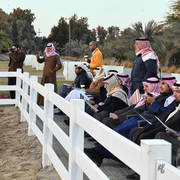 Lisa Abraham: 2017 Kuwait International Arabian Horse Festival~All Nations Cup Straight Egyptians 