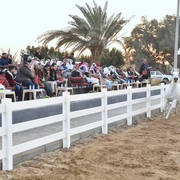 Lisa Abraham: 2017 Kuwait International Arabian Horse Festival~All Nations Cup Straight Egyptians 