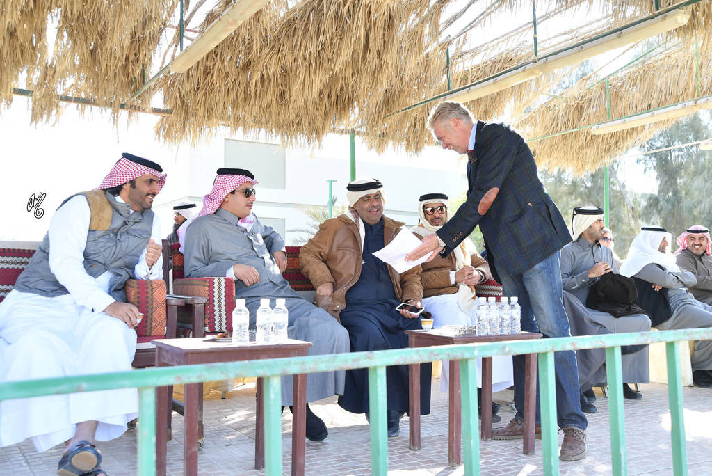 Lisa Abraham: 2017 Kuwait International Arabian Horse Festival~All Nations Cup Straight Egyptians 