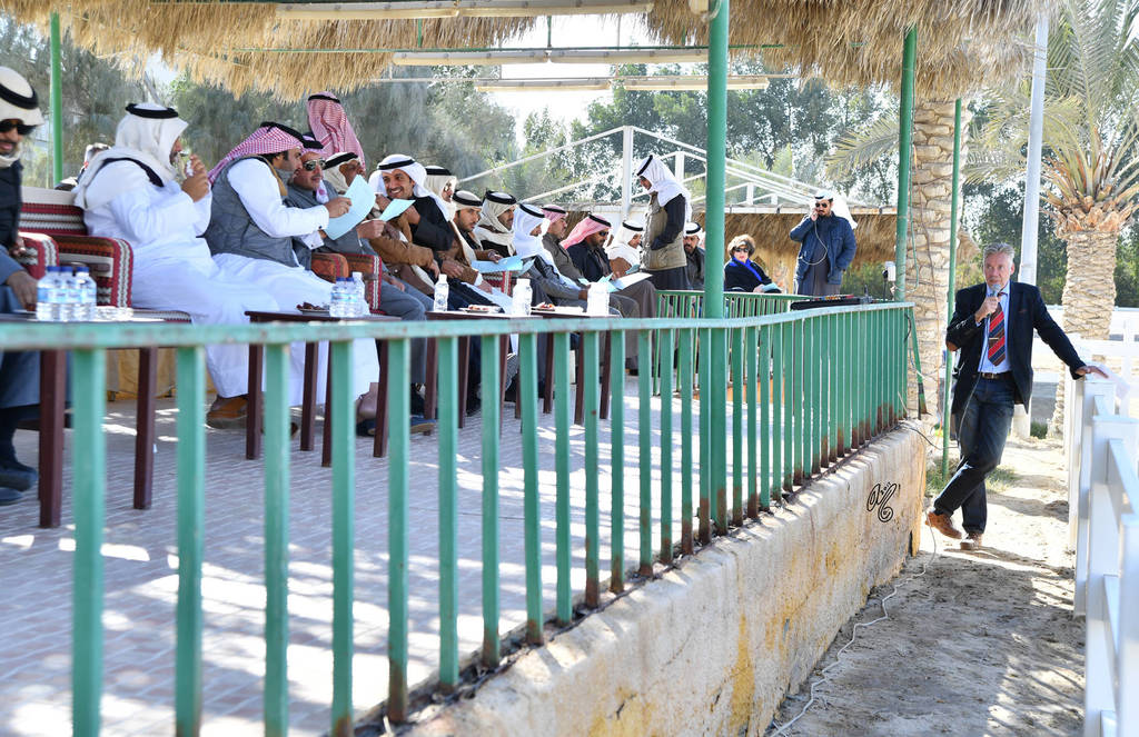 Lisa Abraham: 2017 Kuwait International Arabian Horse Festival~All Nations Cup Straight Egyptians 