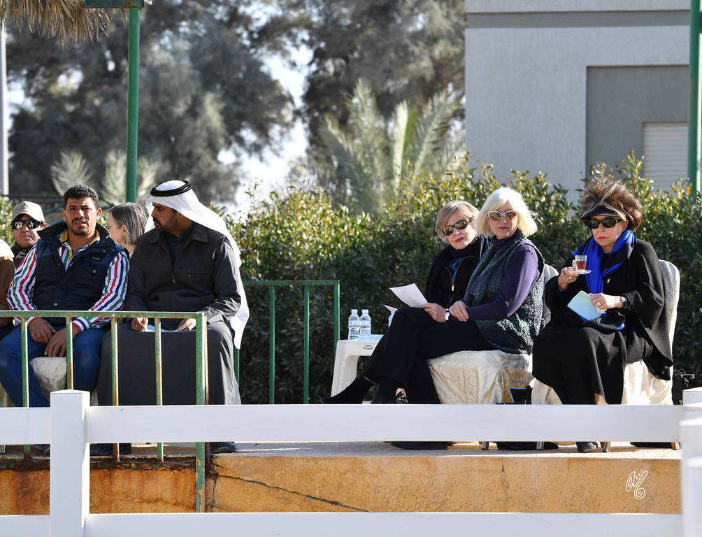 Lisa Abraham: 2017 Kuwait International Arabian Horse Festival~All Nations Cup Straight Egyptians 