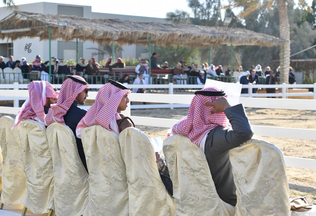 Lisa Abraham: 2017 Kuwait International Arabian Horse Festival~All Nations Cup Straight Egyptians 