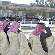 Lisa Abraham: 2017 Kuwait International Arabian Horse Festival~All Nations Cup Straight Egyptians 