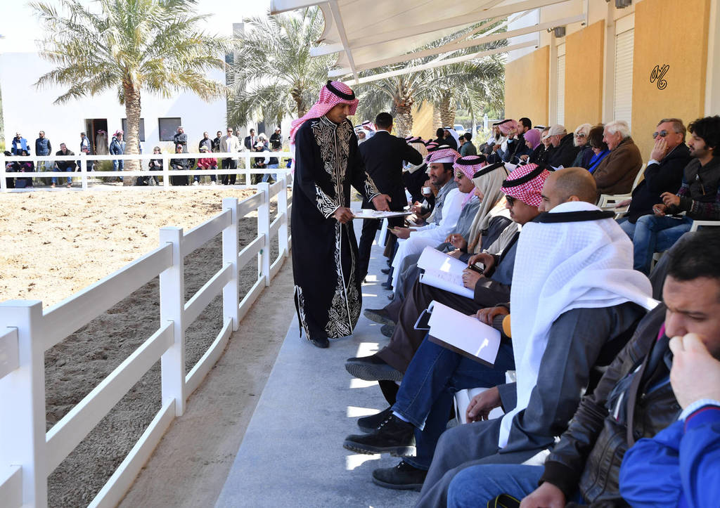 Lisa Abraham: 2017 Kuwait International Arabian Horse Festival~All Nations Cup Straight Egyptians 