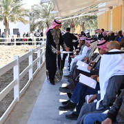 Lisa Abraham: 2017 Kuwait International Arabian Horse Festival~All Nations Cup Straight Egyptians 