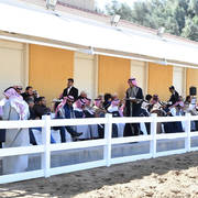 Lisa Abraham: 2017 Kuwait International Arabian Horse Festival~All Nations Cup Straight Egyptians 