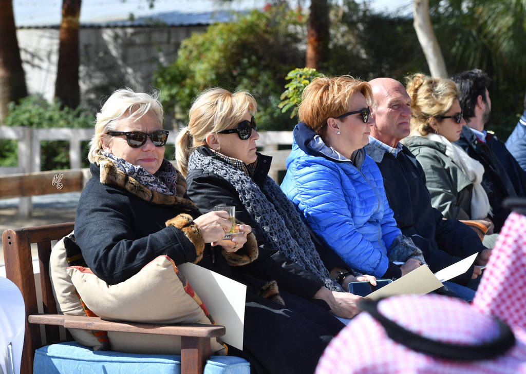 Lisa Abraham: 2017 Kuwait International Arabian Horse Festival~All Nations Cup Straight Egyptians 