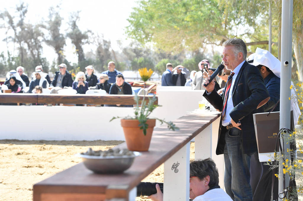 Lisa Abraham: 2017 Kuwait International Arabian Horse Festival~All Nations Cup Straight Egyptians 