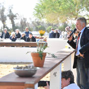 Lisa Abraham: 2017 Kuwait International Arabian Horse Festival~All Nations Cup Straight Egyptians 