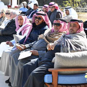 Lisa Abraham: 2017 Kuwait International Arabian Horse Festival~All Nations Cup Straight Egyptians 