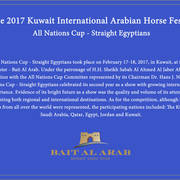 Lisa Abraham: 2017 Kuwait International Arabian Horse Festival~All Nations Cup Straight Egyptians 